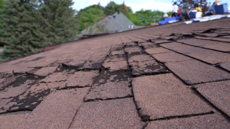 Trusted Springdale, OH Roofing Service Experts