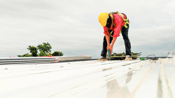 Best Roof Moss and Algae Removal  in Springdale, OH
